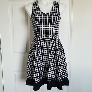 Papermoon Stitch Fix Fit and Flare Dress